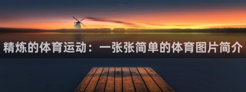 蓝狮在线官网注册：精炼的体育运动：一张张简单的体育图片简介