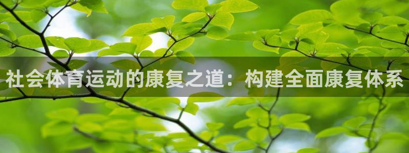 蓝狮在线体育1招商：社会体育运动的康复之道：构建全面康复体系