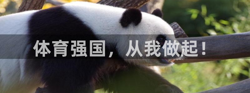 意昂体育官网登录：体育强国，从我做起！