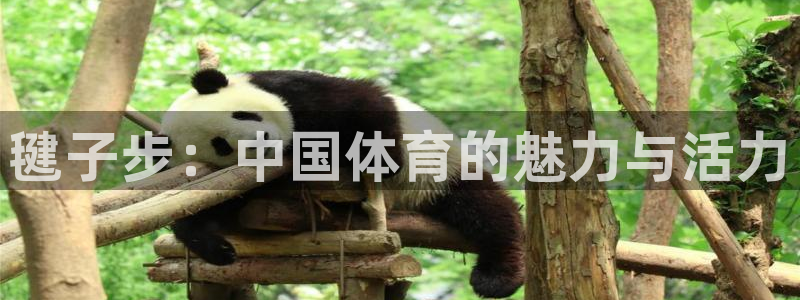 蓝狮在线平台注册：毽子步：中国体育的魅力与活力