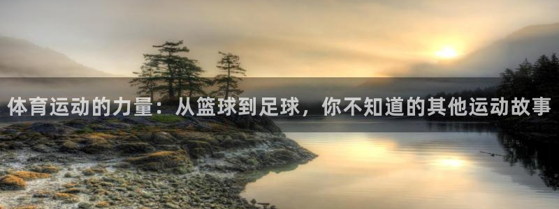 意昂3平台登录注册：体育运动的力量：从篮球到足球，你不知道的其他运动故事