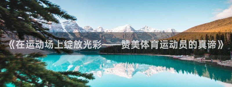 蓝狮在线5：《在运动场上绽放光彩——赞美体育运动员的真谛》