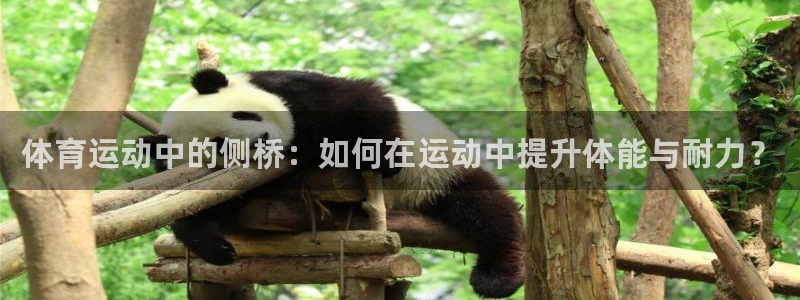意昂4官网：体育运动中的侧桥：如何在运动中提升体能与耐力？