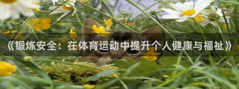 意昂集团股票：《锻炼安全：在体育运动中提升个人健康与福祉》