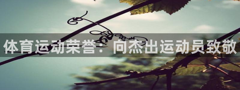 蓝狮在线vk：体育运动荣誉：向杰出运动员致敬