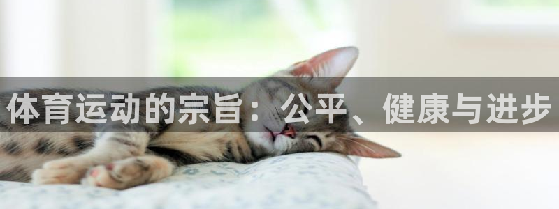 蓝狮在线2平台登录：体育运动的宗旨：公平、健康与进步